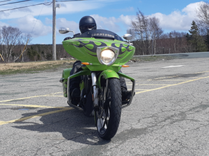 Newfoundland Chapter members